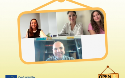 Progress Update: Online Meetings Advance the Development of the OPEN4ALL AAC Toolkit